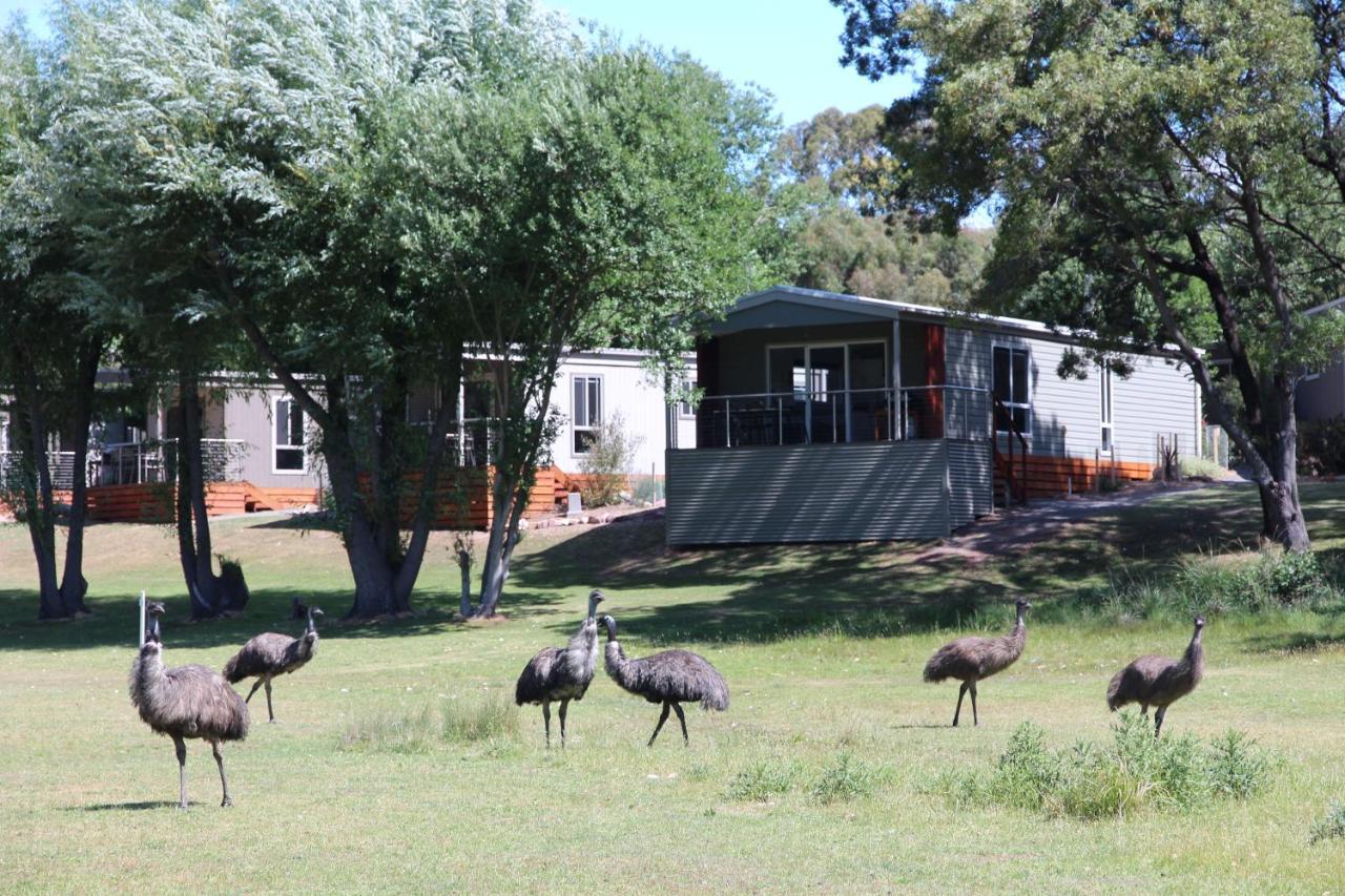 Halls Gap Lakeside Tourist Park Eksteriør billede