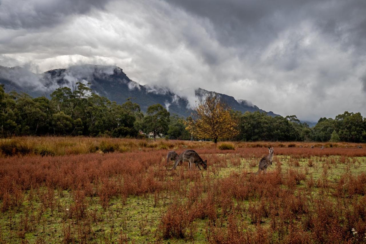 Halls Gap Lakeside Tourist Park Eksteriør billede